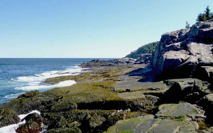 outdoor adventure camp for teens in maine